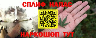МДПВ Можга
