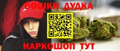 МДПВ Можга