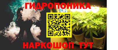 МДПВ Можга