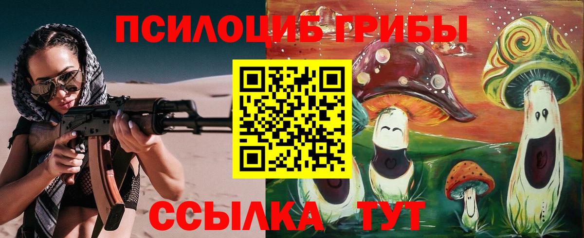 Псилоцибиновые грибы мицелий  Псилоцибиновые грибы прущие грибы  Шарыпово  Вход с VPN 