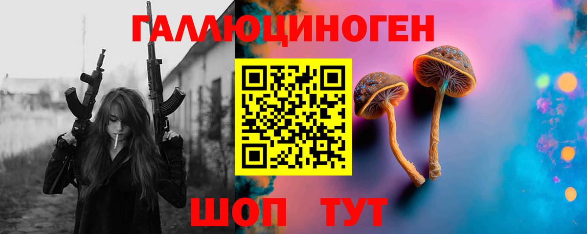 Псилоцибиновые грибы Psilocybine cubensis Шарыпово